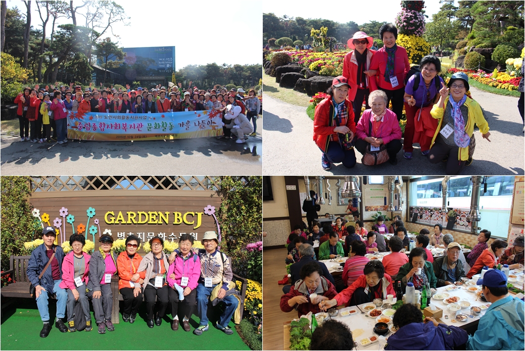 2015 노인사회활동지원사업 문화활동